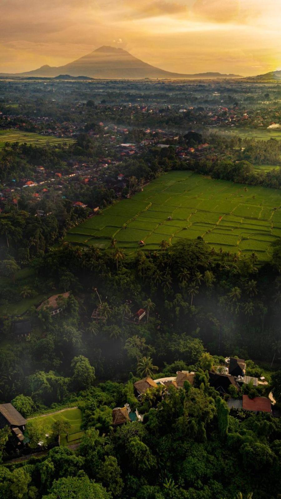 Villa Cella Bella Ubud Exteriör bild